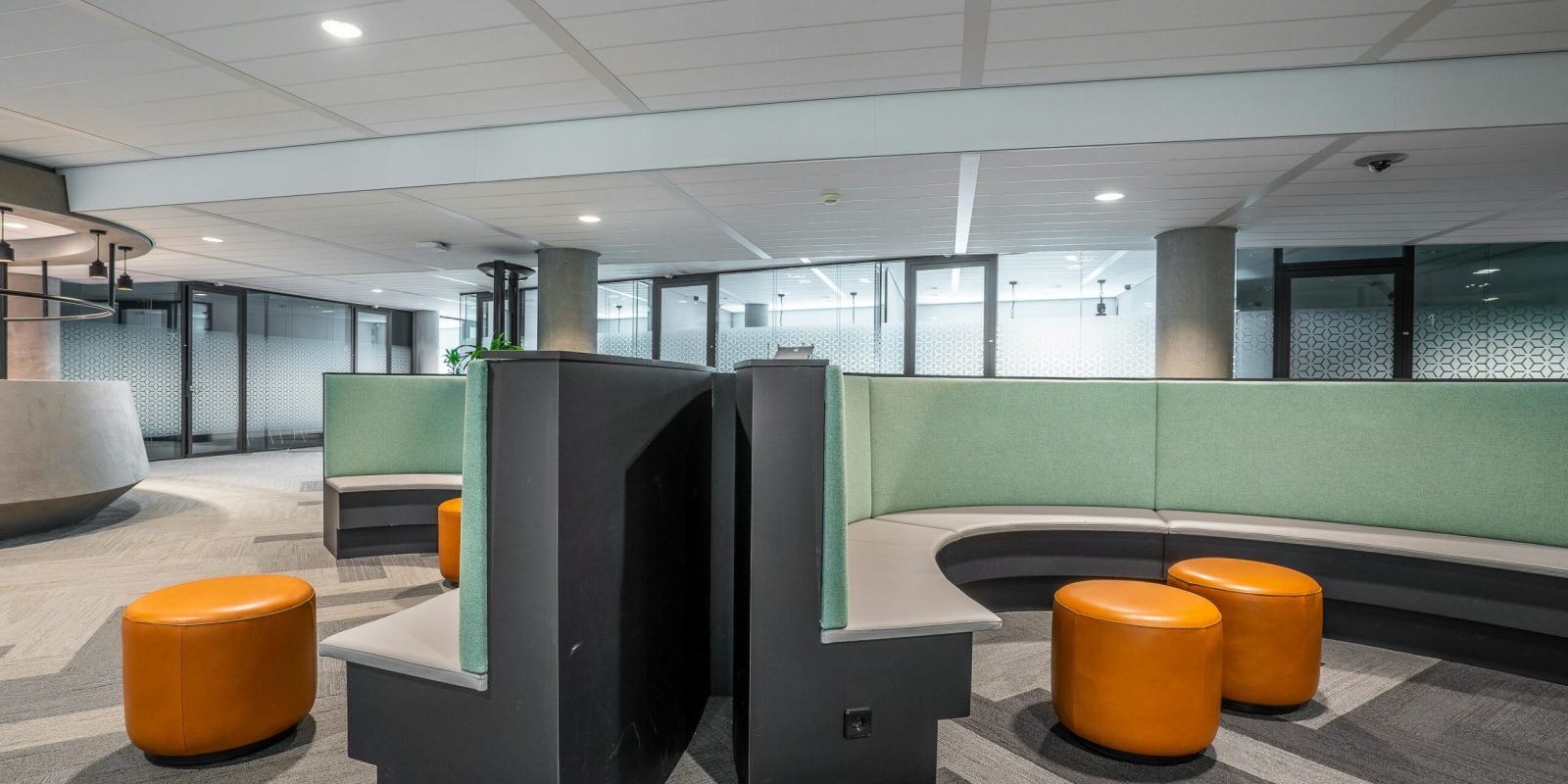 pexels mike van schoonderwalt 1884800 5511090